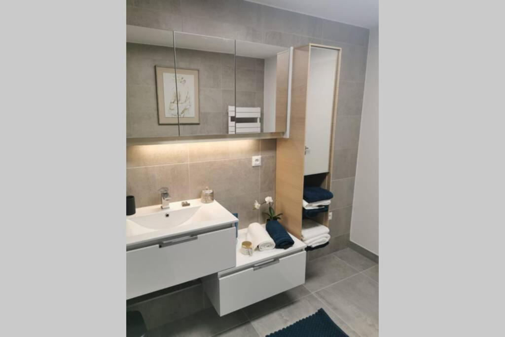 Magnifique F3, 75M² Avec Parking Prive Et Terrasse Apartment Strasbourg Luaran gambar