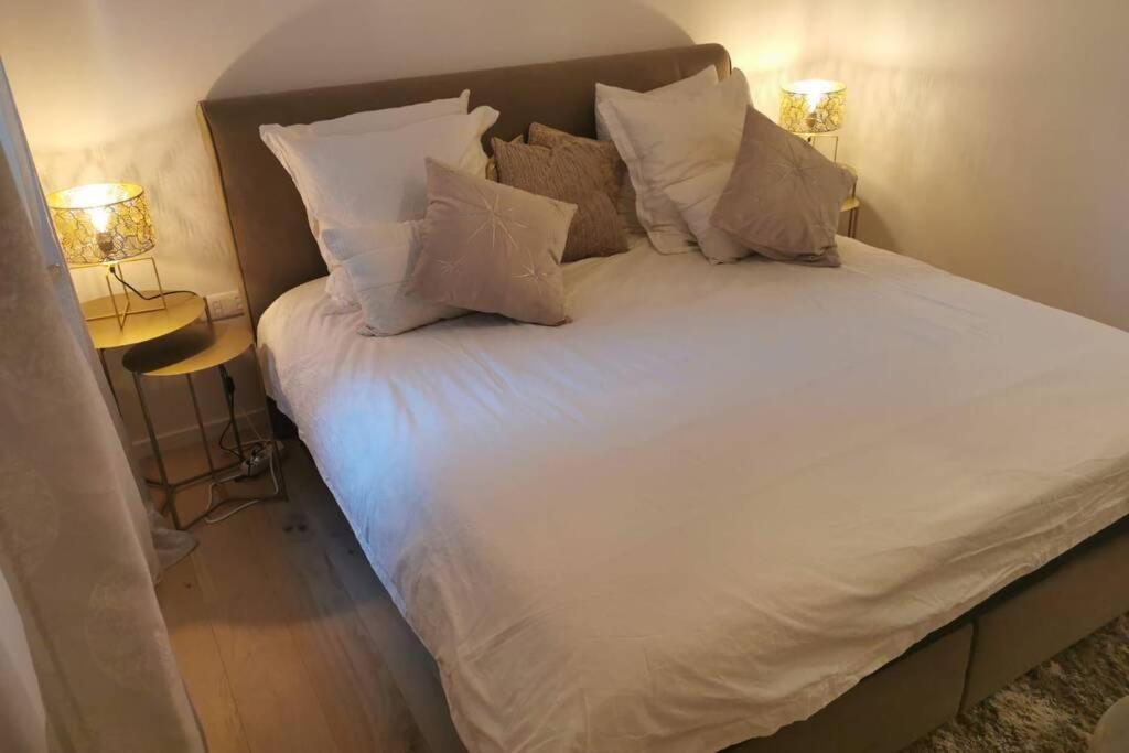 Magnifique F3, 75M² Avec Parking Prive Et Terrasse Apartment Strasbourg Luaran gambar